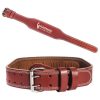 Weightlifting Belts - Image 3